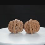 "Palace Lantern" Timeless entry level Wenwan Walnuts Pair | Size:40L*37W*33H | UPI:UR-00122