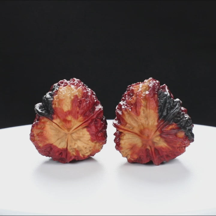 “Three-Ridged” Earth-Cured Tri-Color Coral Grain Y-Form Iron Triple-Ridge Walnuts Pair | Size:35L*35W*44H | UPI:UR-00115