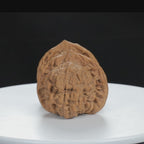 “Large Mandarin Hat” Large Broad-Rimmed Guanmao Official's Cap Wenwan Walnuts Pair | Size:47L*40W*43H | UPI:UR-00074