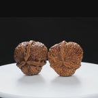 “Three-Ridged” Hand-Matched Symmetrical Three-Spoke Iron Peach Triple-Ridge Walnuts Pair | Size:39L*39W*43H | UPI:UR-00118