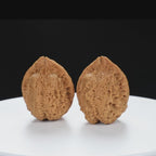 “Toad Head” High-Matched 4-Sided Golden Toad Yunnan Iron Wenwan Walnuts Pair | Size:35L*40W*43H | UPI:UR-00098