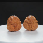 "Three-Ridged" Vintage-style entry level Wenwan Walnuts Pair | Size:34L*35W*38H | UPI:UR-00065