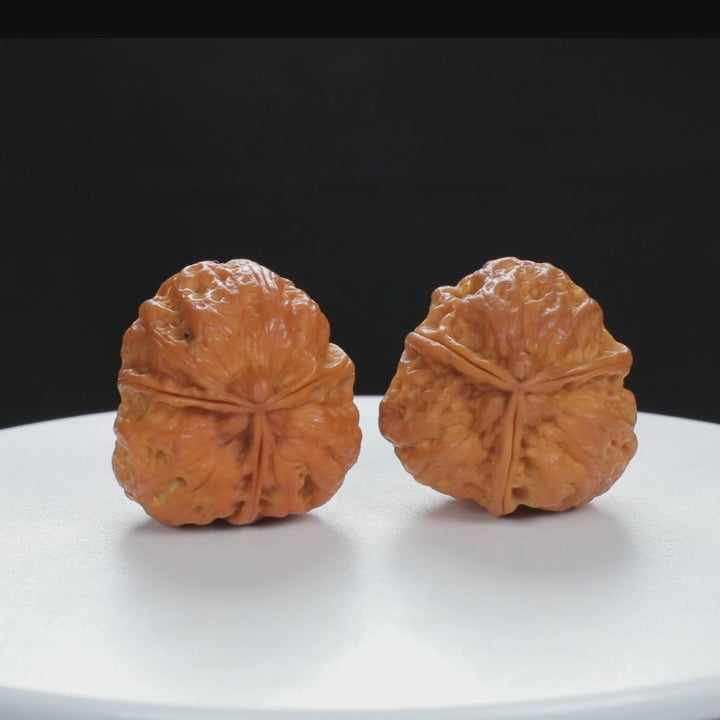 "Three-Ridged" Vintage-style entry level Wenwan Walnuts Pair | Size:34L*35W*38H | UPI:UR-00065