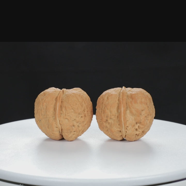 "Toad Head" Classic entry level Wenwan Walnuts Pair | Size:30L*38W*34H | UPI:UR-00044