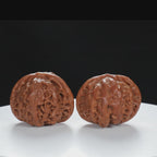 "Palace Lantern" Essential entry level Wenwan Walnuts Pair | Size:43L*40W*35H | UPI:UR-00046