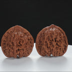 "Starry Sky" Elegant entry level Wenwan Walnuts Pair | Size:41L*39W*40H | UPI:UR-00015