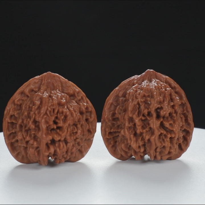"Starry Sky" Elegant entry level Wenwan Walnuts Pair | Size:41L*39W*40H | UPI:UR-00015