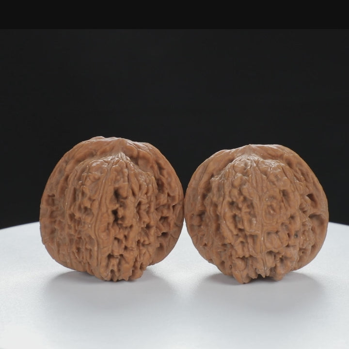 "Nanjiang Stone" Curated entry level Wenwan Walnuts Pair | Size:41L*43W*36H | UPI:UR-00062