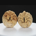 "Ghost Face" "Dumb and Dumber" Goofy Face Natural Indonesian Grimace Walnuts Pair | Size:43L*44W*49H | UPI:UR-00104