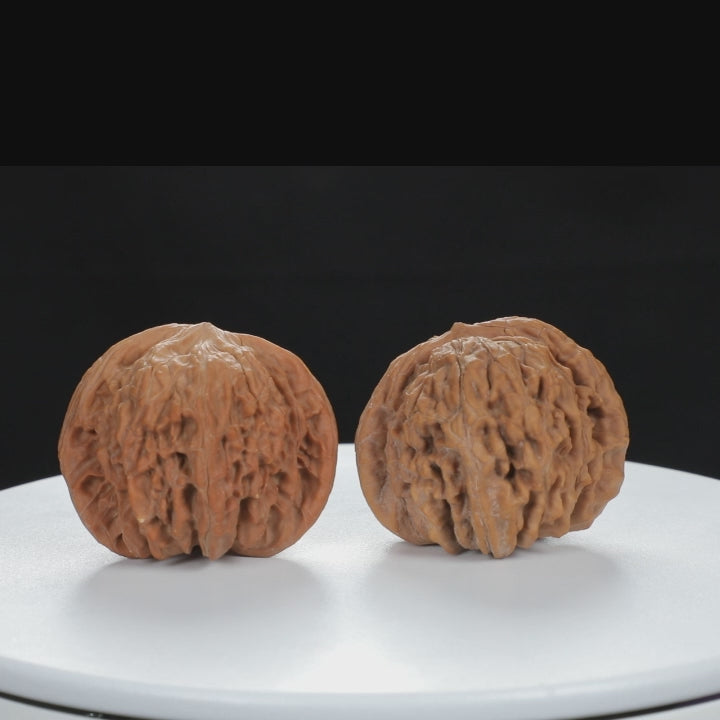 "White Lion's Head" Original entry level Wenwan Walnuts Pair | Size:45L*42W*37H | UPI:UR-00080