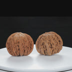 "White Lion's Head" Original entry level Wenwan Walnuts Pair | Size:45L*42W*37H | UPI:UR-00080