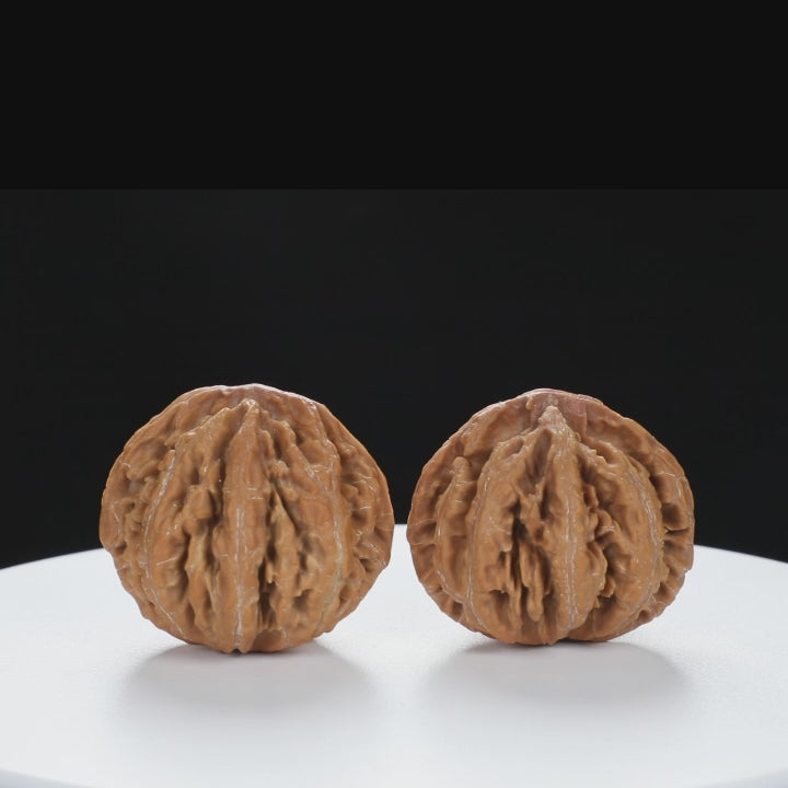 “Wild Qinling Thick-Ridge” nature.Eight-Ridge Lantern Qinling Qiuzi (Autumn Walnut) Wenwan Pair | Size:42L*38W*38H | UPI:UR-00137