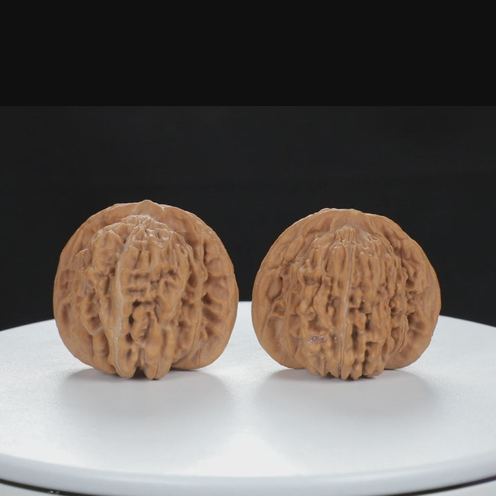 "Si Zuo Lou" Distinctive entry level Wenwan Walnuts Pair | Size:45L*41W*39H | UPI:UR-00077