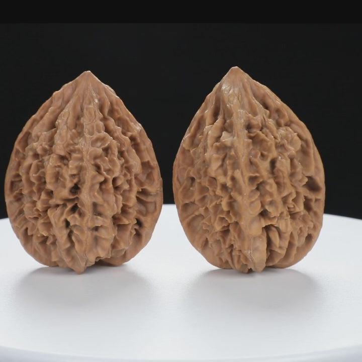 “Fortune Mouse / Bodhi Seed”  Fortune Rat (Nine-Story Pagoda Origin) Tall-Stature Wenwan Walnuts Pair | Size:41L*42W*53H | UPI:UR-00121