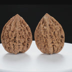 “Fortune Mouse / Bodhi Seed”  Fortune Rat (Nine-Story Pagoda Origin) Tall-Stature Wenwan Walnuts Pair | Size:41L*42W*53H | UPI:UR-00121