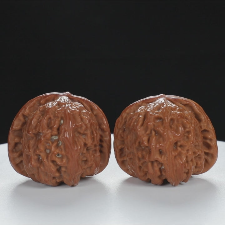 "White Lion's Head" Refined entry level Wenwan Walnuts Pair | Size:41L*43W*34H | UPI:UR-00012