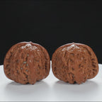 "White Lion's Head" Refined entry level Wenwan Walnuts Pair | Size:41L*43W*34H | UPI:UR-00012
