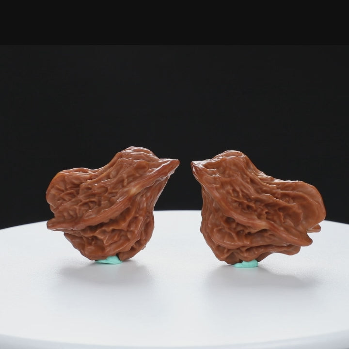"Little Bird" Time-honored entry level Wenwan Walnuts Pair | Size:30L*29W*43H | UPI:UR-00040