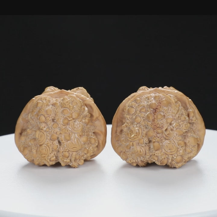 ”Toad Head” Double-Sided Carved Wealth Toad Wenwan Walnuts Pair | Size:41L*42W*32H | UPI:UR-00090