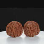 "Si Zuo Lou" Traditional entry level Wenwan Walnuts Pair | Size:41L*40W*40H | UPI:UR-00047