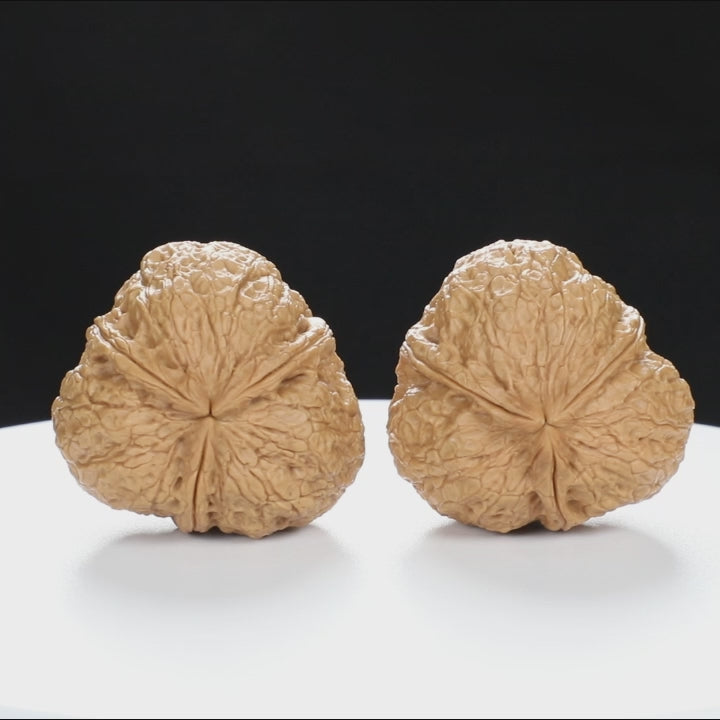 “Three-Ridged” Collector's Y-Form Onigiri Toad Head Triple-Ridge Wenwan Walnuts Pair | Size:38L*37W*35H | UPI:UR-00114