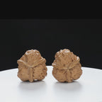 “Three-Ridged” Fine Dense Mini Totem Y-Form Triple-Ridge Wenwan Walnuts Pair | Size:34L*34W*38H | UPI:UR-00145