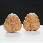“Three-Ridged” Collector's Highly Matched Y-Form Toad Head Triple-Ridge Wenwan Walnuts Pair | Size:38L*39W*38H | UPI:UR-00111