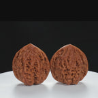 "Large Mandarin Hat" Artisan entry level Wenwan Walnuts Pair | Size:44L*42W*46H | UPI:UR-00018
