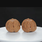 "Toad Head" Artisan entry level Wenwan Walnuts Pair | Size:38L*39W*34H | UPI:UR-00084