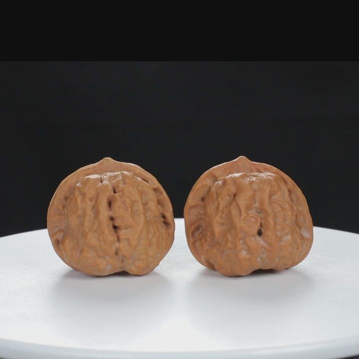 "Toad Head" Artisan entry level Wenwan Walnuts Pair | Size:38L*39W*34H | UPI:UR-00084