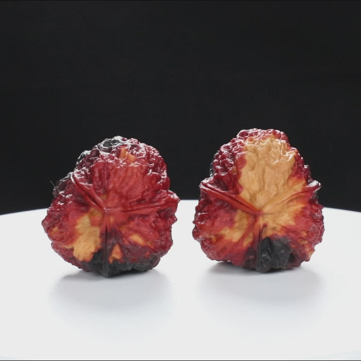 “Three-Ridged” Stout Y-Shaped Coral Cluster Tri-Color Iron Triple-Ridge Walnuts Pair | Size:35L*34W*41H | UPI:UR-00116