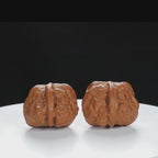 "Single Ridge" Refined entry level Wenwan Walnuts Pair | Size:36L*38W*28H | UPI:UR-00030