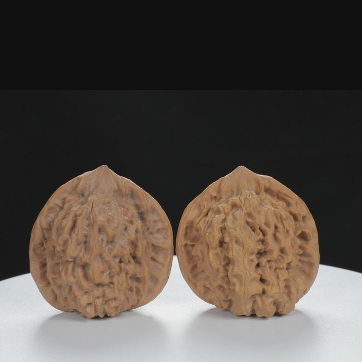 "Large Mandarin Hat" Elegant entry level Wenwan Walnuts Pair | Size:47L*43W*49H | UPI:UR-00133