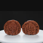 "Snake Head" Collector's Ultra Rare Full-Bellied Snake Head Hand-Matched Wenwan Walnuts Pair | Size:49L*40W*42H | UPI:UR-00060