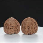 "Starry Sky" Distinctive entry level Wenwan Walnuts Pair | Size:36L*34W*35H | UPI:UR-00011