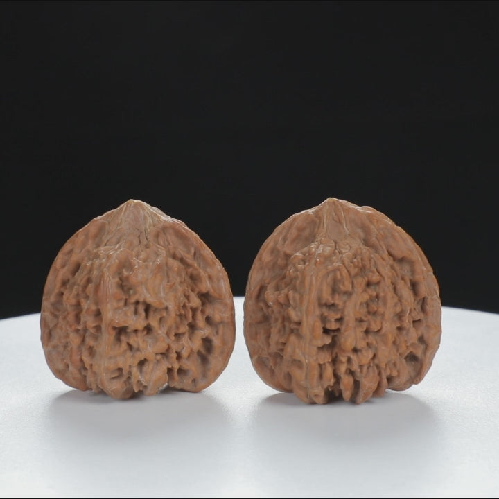 "Starry Sky" Distinctive entry level Wenwan Walnuts Pair | Size:36L*34W*35H | UPI:UR-00011