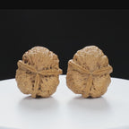 “Three-Ridged” Y-Shaped Totem Texture Natural Triple-Ridge Wenwan Walnuts Pair | Size:34L*39W*41H | UPI:UR-00144