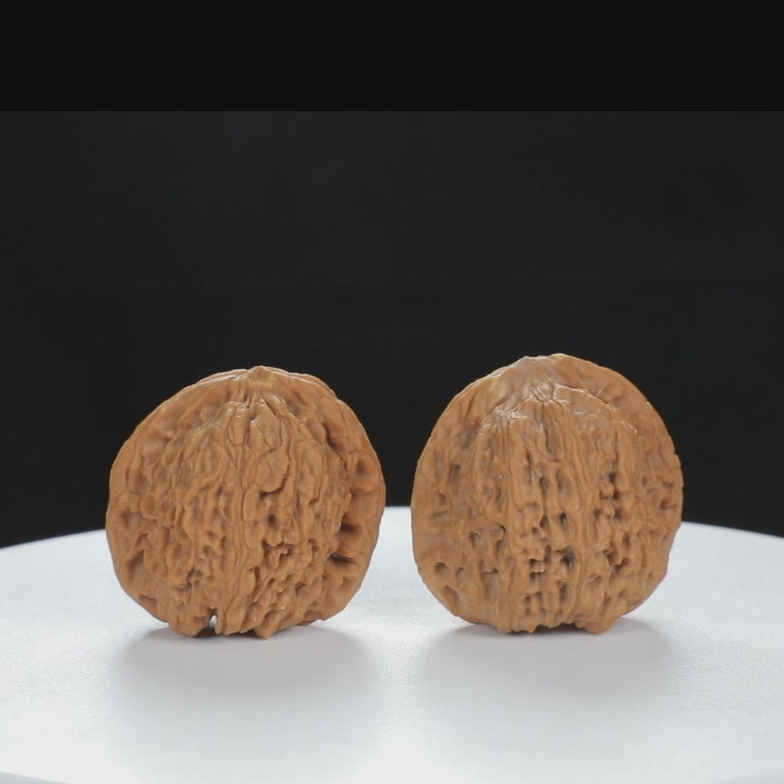 "Nanjiang Stone" Classic entry level Wenwan Walnuts Pair | Size:37L*35W*36H | UPI:UR-00120
