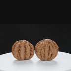 “Wild Qinling Thick-Ridge” nature.Eight-Ridge Lantern Qinling Qiuzi (Autumn Walnut) Wenwan Pair | Size:39L*38W*39H | UPI:UR-00139