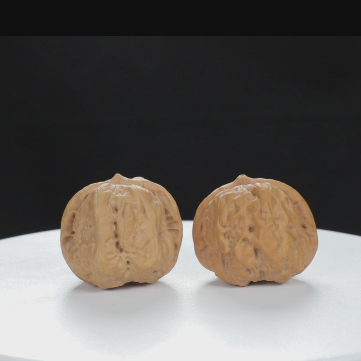 "Toad Head" Time-honored entry level Wenwan Walnuts Pair | Size:35L*36W*31H | UPI:UR-00119