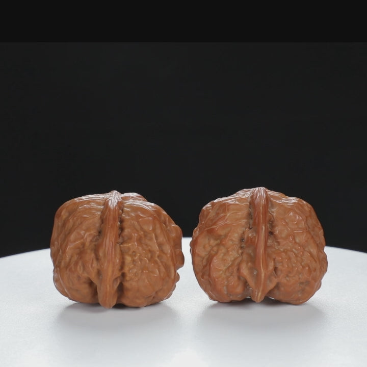 "Single Ridge" Artisan entry level Wenwan Walnuts Pair | Size:37L*36W*30H | UPI:UR-00063