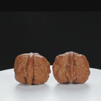 "Single Ridge" Artisan entry level Wenwan Walnuts Pair | Size:37L*36W*30H | UPI:UR-00063