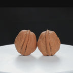 "Qiuzi" Handpicked entry level Wenwan Walnuts Pair | Size:31L*31W*35H | UPI:UR-00082