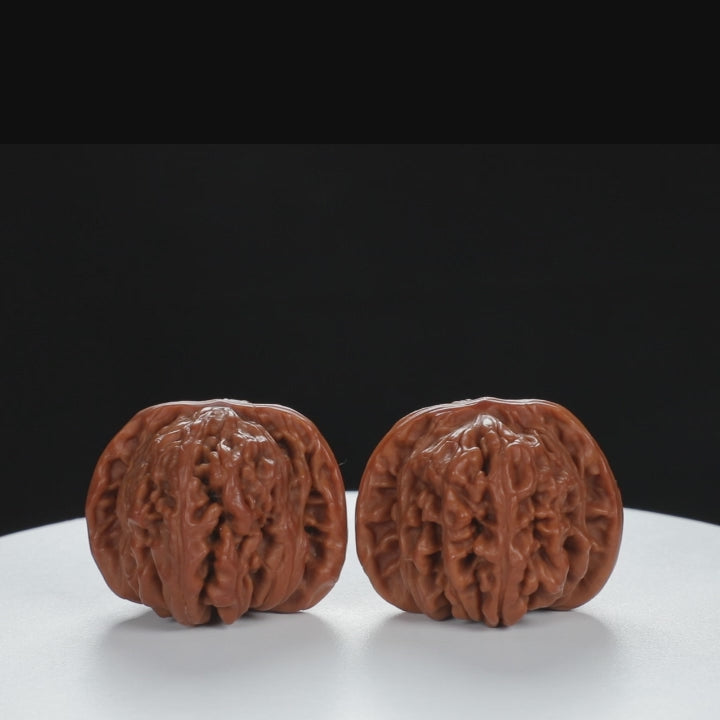 "Si Zuo Lou" Handpicked entry level Wenwan Walnuts Pair | Size:40L*40W*32H | UPI:UR-00034