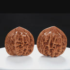 “Qilin Scale Pattern” Imperial Collection Qilin Guanmao Walnuts Pair | Size:48L*50W*47H | UPI:UR-00054