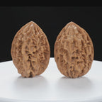“Fortune Mouse / Bodhi Seed” Fortune Rat (Nine-Story Pagoda Origin) Tall-Stature Wenwan Walnuts Pair | Size:37L*41W*52H | UPI:UR-00042