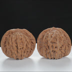 "Si Zuo Lou" Original entry level Wenwan Walnuts Pair | Size:44L*39W*38H | UPI:UR-00014