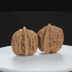 "Si Zuo Lou" Authentic entry level Wenwan Walnuts Pair | Size:45L*40W*43H | UPI:UR-00079