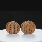 “Wild Qinling Thick-Ridge” nature.Eight-Ridge Lantern Qinling Qiuzi (Autumn Walnut) Wenwan Pair | Size:42L*38W*38H | UPI:UR-00138