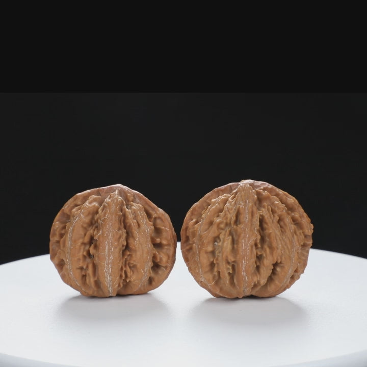 “Wild Qinling Thick-Ridge” nature.Eight-Ridge Lantern Qinling Qiuzi (Autumn Walnut) Wenwan Pair | Size:42L*38W*38H | UPI:UR-00138